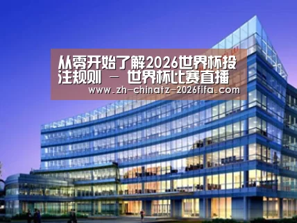 案例展示五