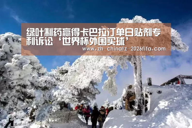 绿叶制药赢得卡巴拉汀单日贴剂专利诉讼‘世界杯外围买球’(图1) 2026世界杯