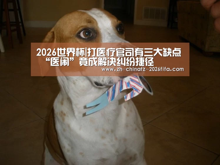 2026世界杯|打医疗官司有三大缺点 “医闹”竟成解决纠纷捷径(图1) 世界杯买球网站